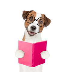 Poster - Funny Jack russel terrier puppy wearing eyeglasses holding open book and looking at camera. isolated on white background