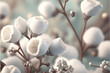 Soft cotton flowers background, white, Generative AI