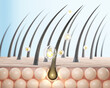 Hair treatment and Hair care Concept Background, Vitamin or Serum Shampoo,Damage hair Repair,3d rendering.