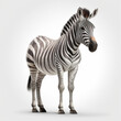 stehendes Zebra auf weißem Hintergrund isoliert (erstellt durch KI-Tool)