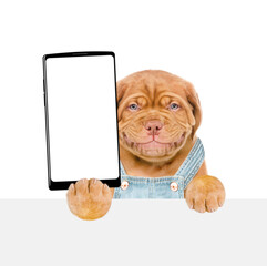 Poster - Smiling puppy wearing overalls holds big smartphone with white blank screen in it paw, showing close to camera above white banner. Empty free space for mock up, banner