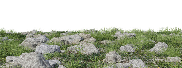 Sticker - Evergreen grass field and rock in nature,  meadow in springtime, Tropical forest isolated on transparent background - PNG file, 3D rendering illustration for create and design or etc