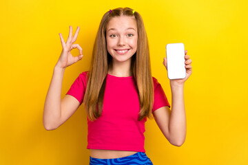 Poster - Portrait photo of funny cheerful smiling positive girl wear crop top showing okey sign hold empty space display isolated on yellow color background