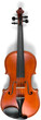 A classical musical instrument violin