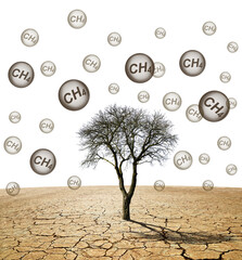 Wall Mural - Tree in the arid landscape with bubble with CH4 text isolated on transparent background, PNG. Global warming or change climate concept. Environmental problems. Growing methane in the atmosphere.