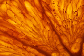 Wall Mural - juicy slice of orange, macro photography