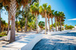© Felix Mizioznikov - Long exposure photo of Siesta Key Beach scene with motion blur in trees