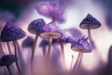  A Group Of Purple Mushrooms Growing In A Field Of Purple Grass With A Purple Sky In The Background And A Blurry Image Of The Mushrooms.  Generative Ai