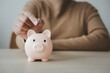 © StockerThings - Woman holding piggy bank in concept of saving money. Finance and banking concept piggy bank on person hand.