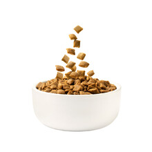 Dry Food For Cats And Dogs In The Form Of Squares