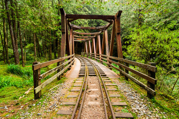 Wall Mural - The old forest railway section of the Shuishan Trail at Alishan Forest Recreation Area in Chiayi, Taiwan. Now obsolete and unable to operate.