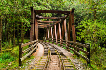 Wall Mural - Beautiful view of Forest Railway Shuishan Trail at the Alishan Forest Recreation Area in Chiayi, Taiwan.
