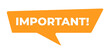 © Viktoryia - Vector Illustration Important Label. Modern Web Banner