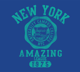 Wall Mural - new york college varsity print