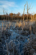 Winter landscape at Arcot Pond, Cramlington, Northumberland, England, UK.  