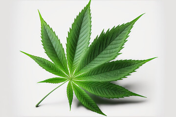 Sticker - Cannabis plant's full grown, fresh green leaf, isolated on a white background. cultivation of medical marijuana Studio image. Generative AI