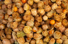 Cape Gooseberry (Physalis Peruviana) For Sale At Market