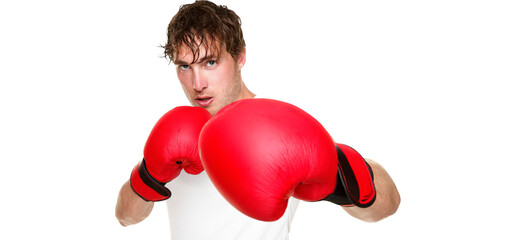 Wall Mural - Fitness boxer boxing. Man punching with red boxing gloves isolated in transparent PNG. Fit fitness boxer sweating looking at camera. Caucasian male fitness model in his 20s.