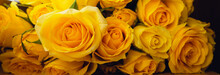 Yellow Rose,Full Frame Shot Of A Bouquet Of Yellow Roses