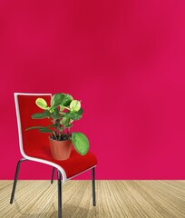 Wall Mural - Green plant in room in Viva Magenta modern color