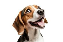 Most Beautifu Beagle Dog Smiling On Isolated On Transparent Background. Portrait Of A Cute Beagle Dog.  Post-processed Generative AI