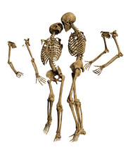 3d Render Skeleton Love Pose