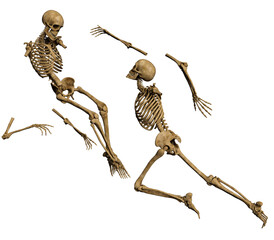 3d render skeleton love pose