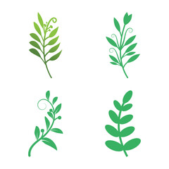 Wall Mural - Green leaves Botanical logo vector and symbol design