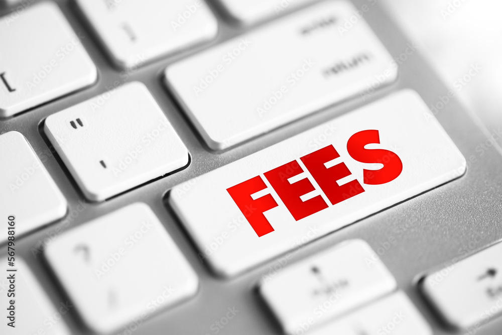 FEES - the price one pays as remuneration for rights or services, text ...