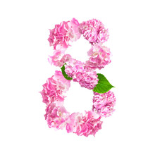 International Women's Day. Numeral 8 From Beautiful Pink Hydrangea Flowers, Green Leaves On White Background. With Clipping Path. Minimalistic Concept 8 March Holiday. Flower Greeting Card 