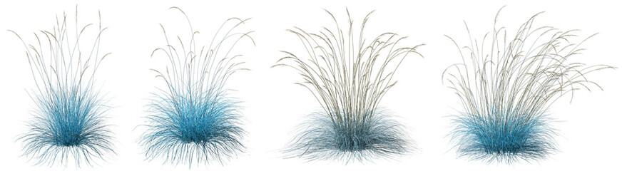 Wall Mural - blue long feather grassy field cutout transparent backgrounds 3d illustration png