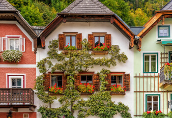 Wall Mural - Facades of beautiful houses decorated with plants and flowers in Austrian village.