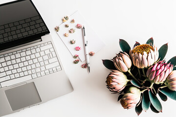 Canvas Print - Blogger or independent contractor workspace on white background with laptop, protea flower, notebook, and feminine accessories. Top view of a home office desk with minimal dcor. a beauty blog idea