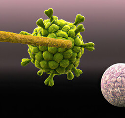 Wall Mural - t cells attacking cancer cells. ia