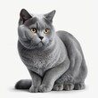  a gray cat with yellow eyes is sitting on a white surface and looking at the camera with a serious look on its face and eyes.  generative ai