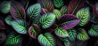 arrière-plan composé de feuilles vertes et violettes superposées - illustration ia