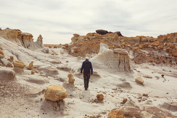 Canvas Print - Bisti