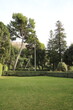 Old trees in Park Villa d'Este in Tivoli, Lazio Italy