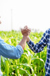 © M+Isolation+Photo - Working together Asian couple farmer works and monitors the growth of corn plants in a corn field to prepare fertilizers to increase the yield of healthy, healthy corn, well-weighted maize.