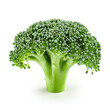 One raw broccoli