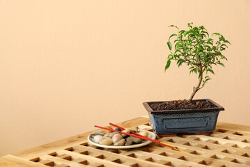 Wall Mural - Bonsai tree, plate with pebbles and chopsticks on table near beige wall