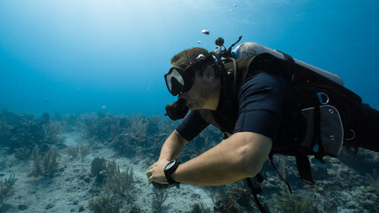 Canvas Print - scuba diver in the mexican caribbean