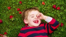 Little Boy Lying On Grass And Eating Strawberries
