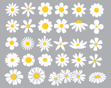 Daisies Clipart. Collection Of Cute Round Daisies. Simple Design. Vector Graphics.