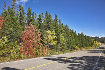 Wall Mural - Autumn paints