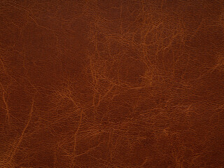 Wall Mural - Luxury brown leather textured surface. Genuine quality empty leather pattern in dark tone. Eco rough empty background. Backdrop blank skin effect for design, upholstered furniture, quality clothes.