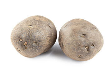 Poster - Vitelotte potatoes. Raw unpeeled purple potatoes isolated on white background, full depth of field.