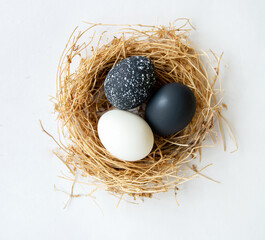 Wall Mural - black and white colored Easter eggs in nest on wooden background, selective focus image. Happy Easter card