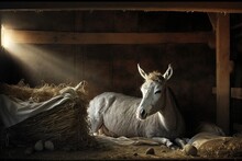  A White Horse Laying Down In A Stable With Hay And Eggs On The Floor And A Light Shining On It's Head And Neck.  Generative Ai