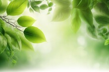  A Close Up Of A Green Leafy Tree Branch With A Blurred Back Ground And Light Green Leaves In The Foreground And A White Background.  Generative Ai